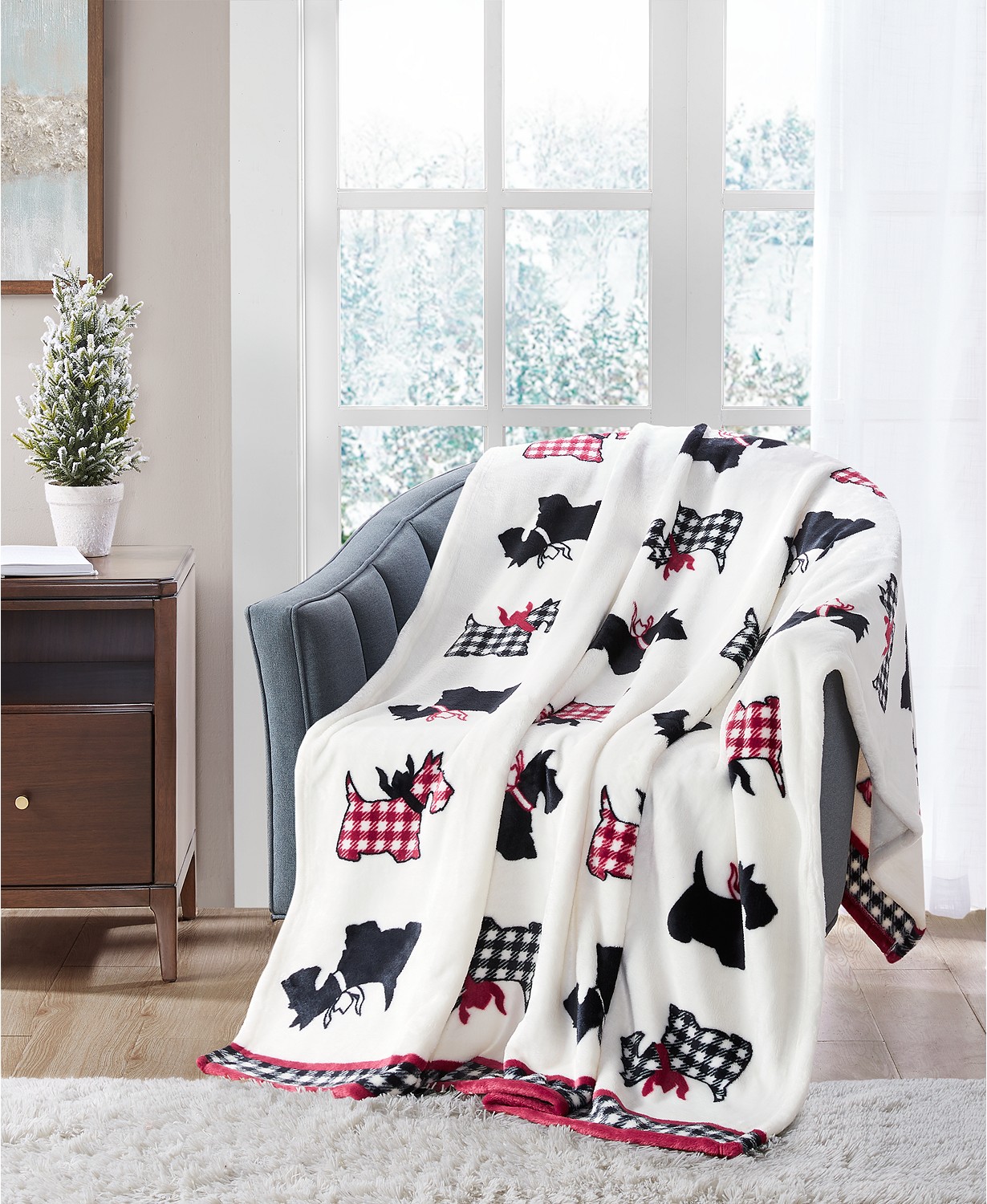  Charter Club Cozy Plush 50