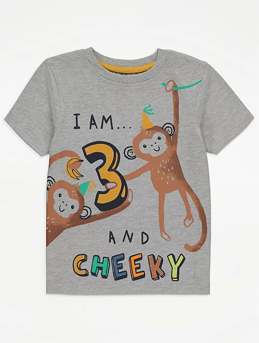 Grey I am 3 Slogan Monkey Print T-Shirt